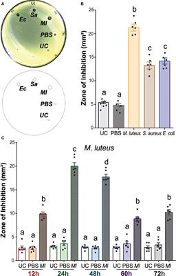 A zone-of-inhibition assay to screen for humoral antimicrobial activity in mosquito hemolymph